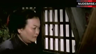 Shirley Yu Shows Tits and Bush – The Scandalous Warlord