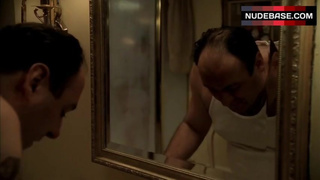 Edie Falco in Shower – The Sopranos
