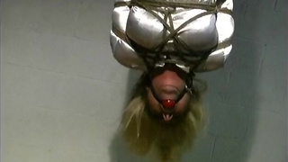 Upside Down Spanked and Crotchroped