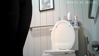 spy cam, hidden cam, american wc, pee, toilet spy 2