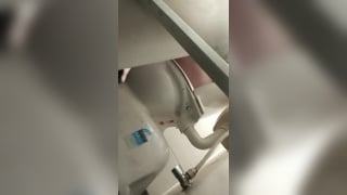 Girls Toilet understall spy