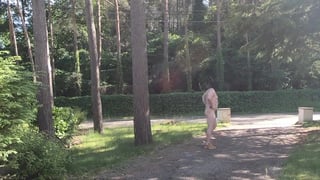 caught naked on the driveway by passing cars