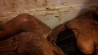 filthy shit covered french amateur couple (claim)