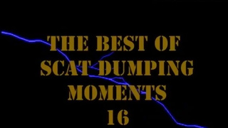 MFX-1419-1-1 - Outro - THE BEST OF SCAT DUMPING MOMENTS VOL. 16 (18.11.2013)