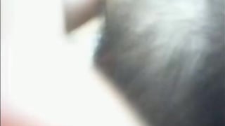 Hairy Bear Shows Off on Webcam