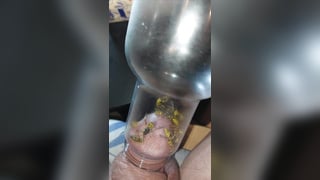 Brutal pain cbt insertion pervers wasp sting cock glans platt