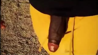 Big Black Cocks Outdoors