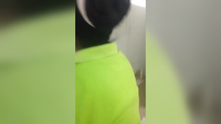 Girls caught having lesbian sex in public restroom