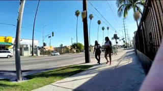 Sexy Black Hot sexy fuckable babes walk the streets looking for customers