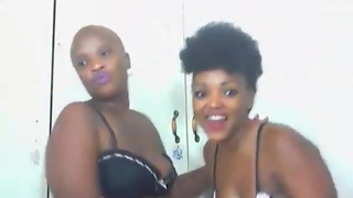 2 ebony babes dancing....shaking big asses webcam